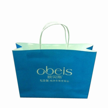 Printed Color Paper Gift Shopping Bag (SW402)